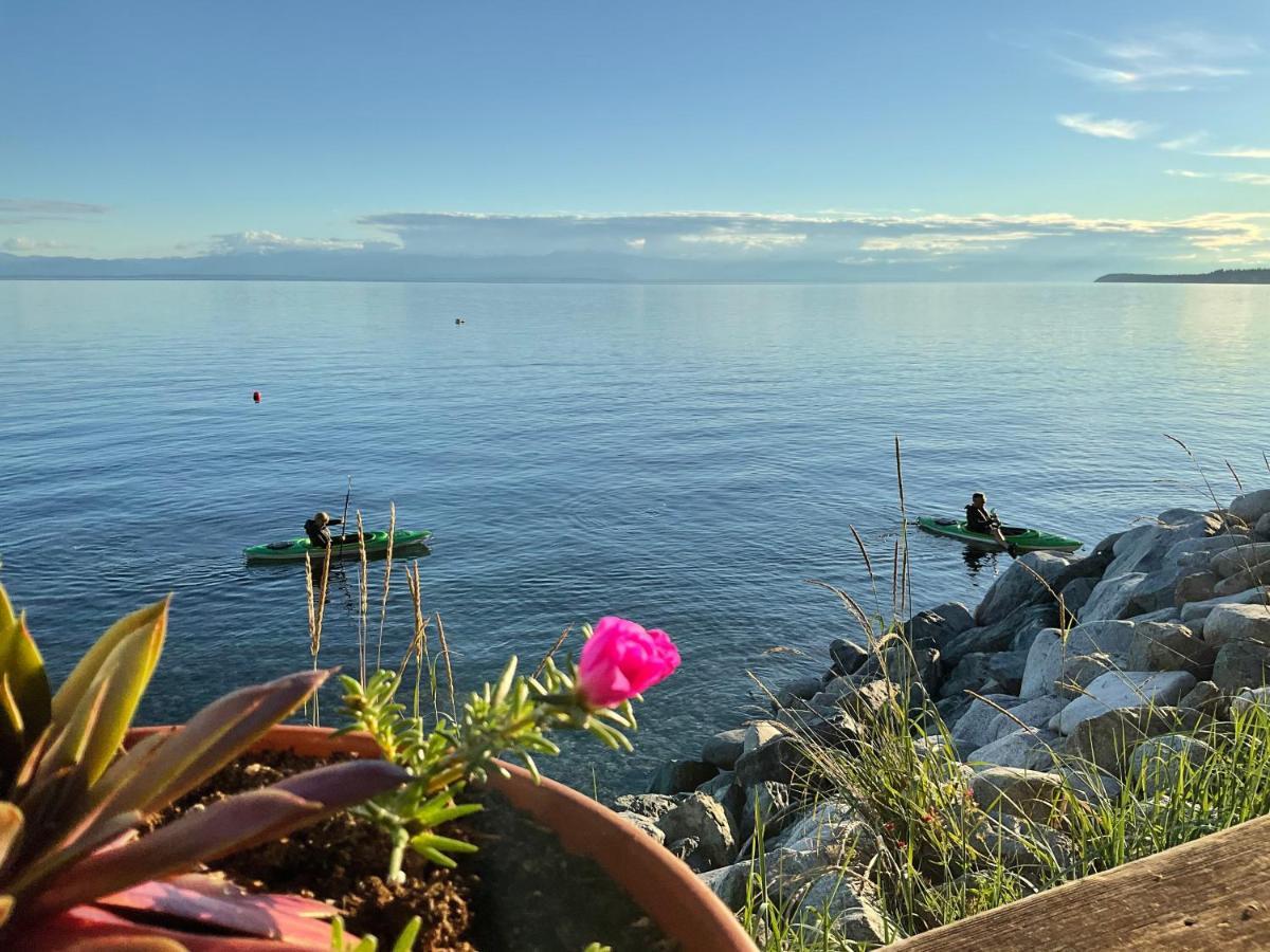 Blitz Beach House Oceanside Suite بويل ريفر المظهر الخارجي الصورة