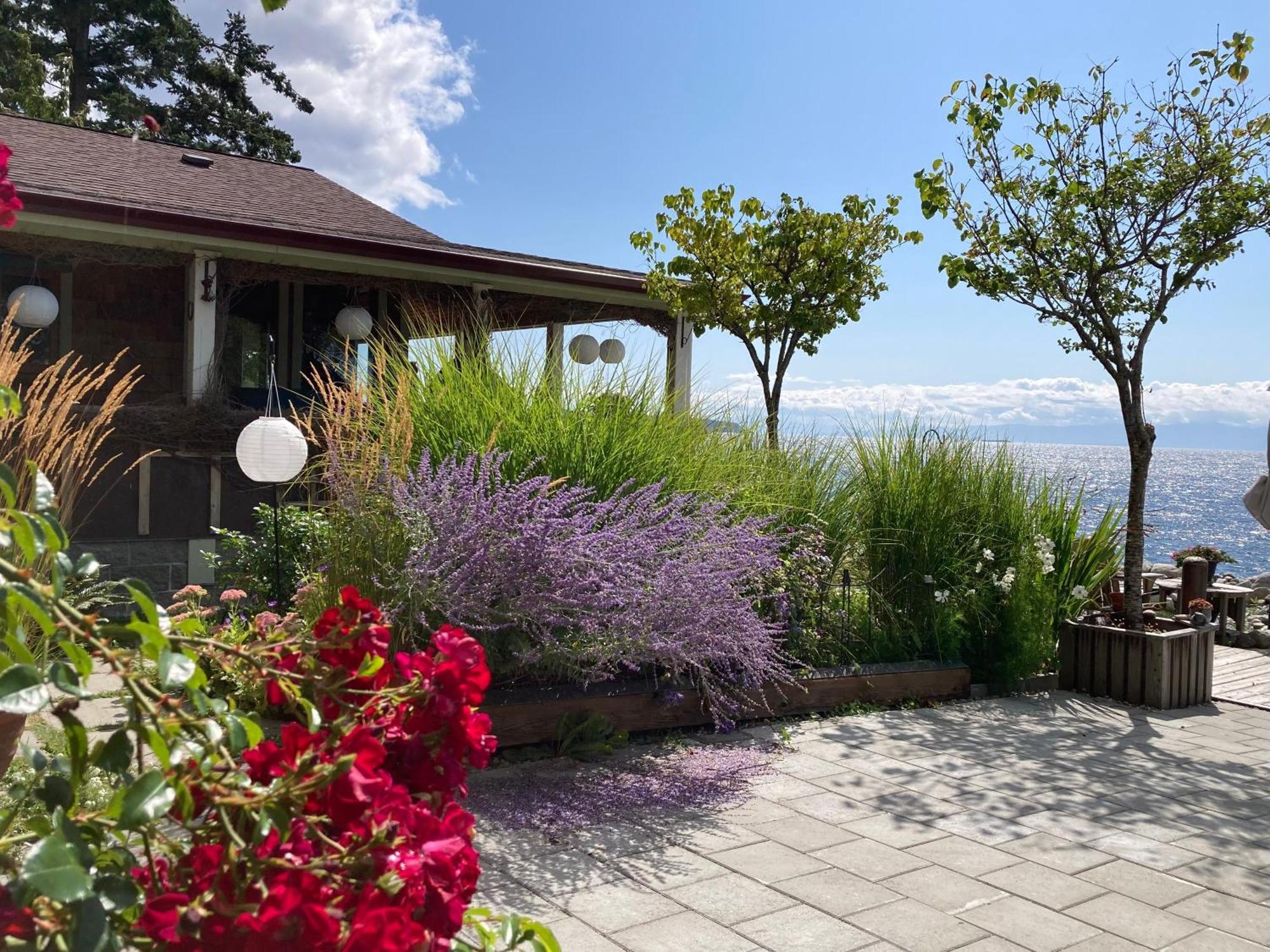 Blitz Beach House Oceanside Suite بويل ريفر المظهر الخارجي الصورة